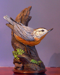 Nuthatch