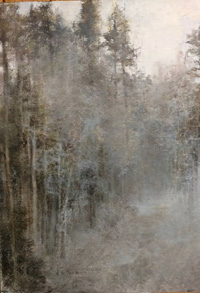 Hoar Frost Along Spring Creek