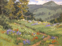 Trail Through the Wild Flowers