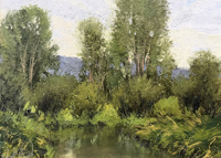 Riparian Reflections