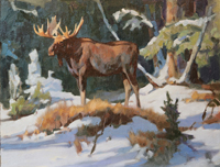 Winter Moose