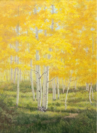 Aurum