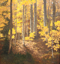 Forest Light