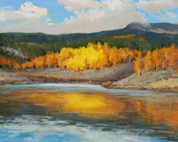 Reflecting Brilliance