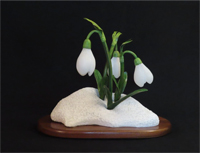 Snow Drops