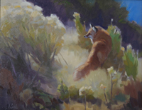 Rabbitbrush Search (fox)