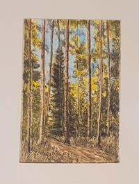 Forest Trail