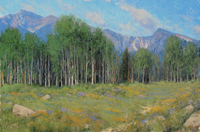 A Walk in the Park (RMNP)