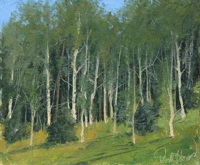 Snowmass Aspens
