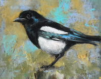 Majestic Magpie