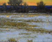 Just a Field at Dawn