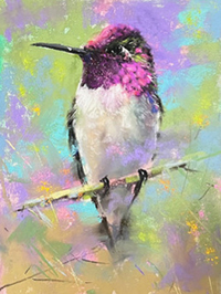 No Hair Coloring Needed