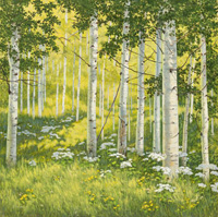 Sunlit Grove