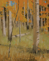 Fall Aspens