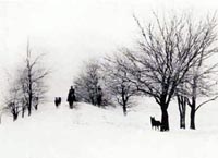 Waiting For The Call