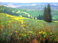 View of Buffalo Pass